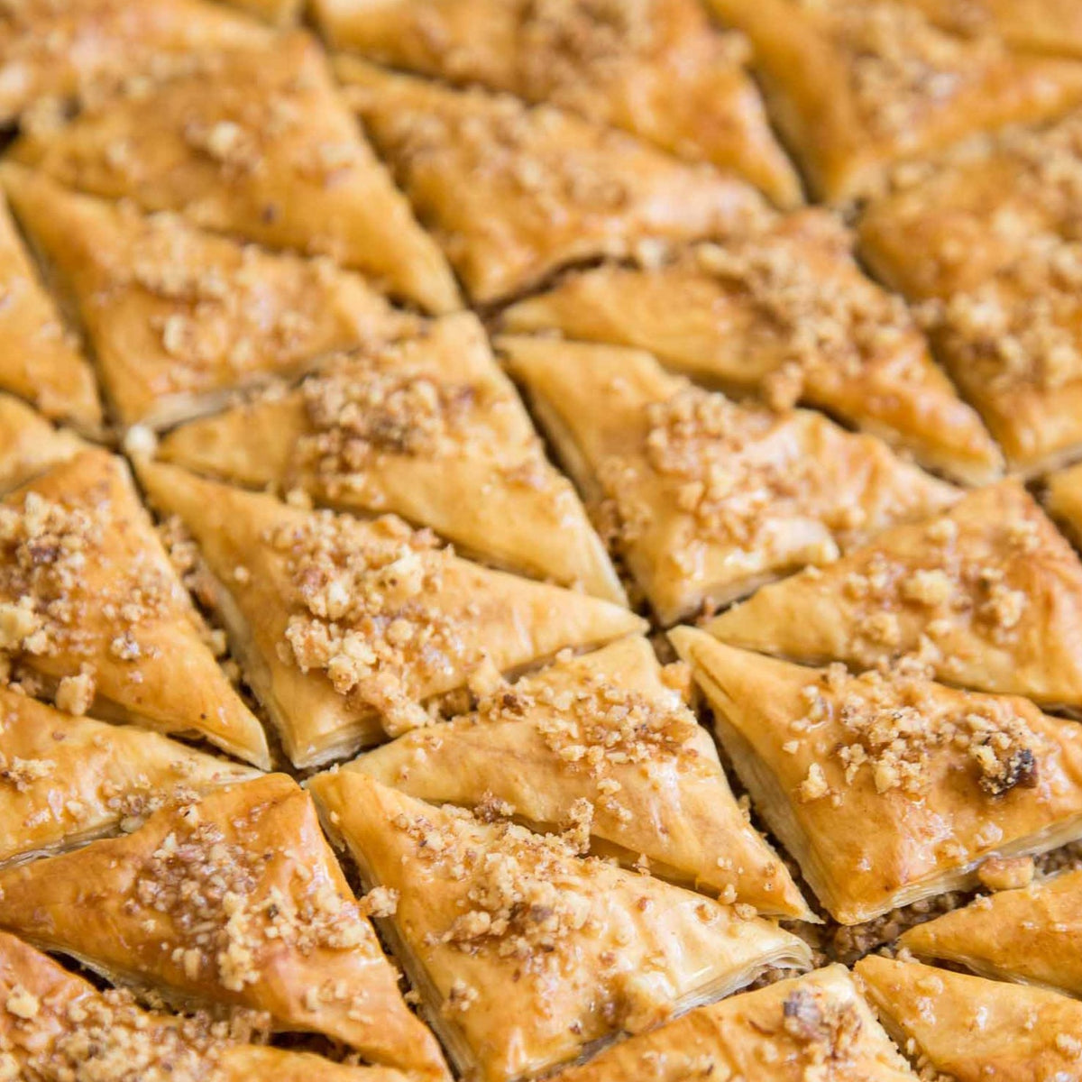 Baklava The Bread Gal Bakery baklava-the-bread-gal-bakery